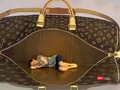 Một tác phẩm ấn tượng tại Bảo tàng tranh 3D ở Đà Nẵng