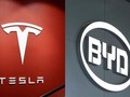 Xe điện BYD bị Tesla vượt mặt ngay trên "sân nhà"