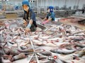 “Lo lắng khi Trung Quốc phá giá Nhân dân tệ là hơi thừa”