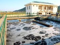 Hà Nội phấn đấu đến 2020 nước thải tại 100% CCN đều phải được xử lý- (Ảnh minh họa).