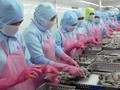 Thủy sản Việt Nam bị trả về do vi phạm an toàn thực phẩm - (Ảnh minh họa)