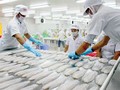 Cục Quản lý Chất lượng Nông lâm sản và Thủy sản yêu cầu các doanh nghiệp chế biến thủy sản xuất khẩu sang Nhật Bản phải cập nhật và chủ động kiểm soát chặt chẽ các chỉ tiêu nêu trên trong chương trình quản lý chất lượng- (Ảnh minh họa).