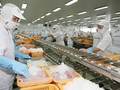 Thủy sản Việt Nam bị cảnh báo dư kim loại nặng - (Ảnh minh họa)