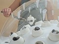 Nhựa được cho vào lớp vỏ làm bằng thạch dẻo.