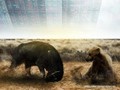 Góc nhìn chuyên gia tuần mới: Kỳ vọng vượt đỉnh