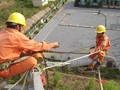 Chính phủ bảo lãnh khoản vay cho đường dây 500 KV Vĩnh Tân - Tân Uyên