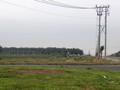 Vị trí nằm trong diện tích giải tỏa để xây dựng dự án sân bay Long Thành - Ảnh: Lê Anh