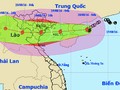Trong sáng mai, bão số 3 được dự báo sẽ đổ bộ vào các tỉnh từ Quảng Ninh - Nghệ An với gió giật cấp 13-14.