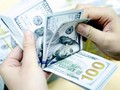Điều hành tỷ giá trung tâm có lên, có xuống hàng ngày đã giảm tâm lý găm giữ ngoại tệ.