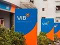VIB: Bên cạnh kết quả lợi nhuận kỷ lục…. (Ảnh: VIB)