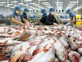 Mỹ đã giảm bớt áp lực lên Việt Nam liên quan thuế chống bán phá giá với sản phẩm cá da trơn Việt Nam. (Ảnh: Internet)