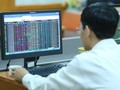 Phiên ngày 16/4, VN-Index giảm nhẹ giảm 5,73 điểm xuống mức 977,17 điểm. (Ảnh minh họa. Nguồn: PV/Vietnam+)