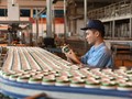 Doanh nghiệp thay đổi tỉ lệ sở hữu nước ngoài: Những tác động không trên giấy