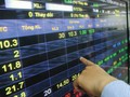 Các công ty chứng khoán ưa thích các ngành, cổ phiếu nào trong năm 2020?