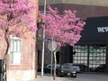 Sau loạt bê bối chấn động, WeWork tuyên bố sẽ có lãi trong năm 2021