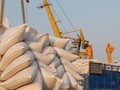 Ngành gạo sẽ hưởng lợi tích cực từ EVFTA