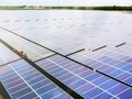 Dự án Nhà máy năng lượng mặt trời Phù Mỹ (Nguồn: BCG)