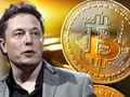 ‘Từ bitcoin, giá nhà đến chứng khoán, bong bóng đang ở mọi nơi’