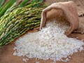 Năm 2021, sản lượng gạo của Việt Nam xuất khẩu sang ba khu vực gồm Châu Âu, Anh và Hàn Quốc dự kiến đạt khoảng 90.000 tấn (Nguồn: Internet)