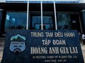 Chăn nuôi heo tiếp tục mang về cho HAG gần 183 tỉ đồng doanh thu trong quý 3/2021 (Ảnh: Internet)
