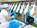 BIDV rao bán khoản nợ 1.024,9 tỉ đồng của Navi Glove (Ảnh minh họa - Nguồn: Internet)