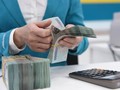 Lãi suất liên ngân hàng lập đỉnh
