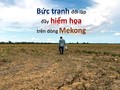 Bức tranh đối lập đầy hiểm họa trên dòng Mekong