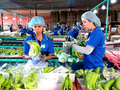 Công ty của 'bầu' Đức lãi nghìn tỉ đồng lần đầu tiên sau 8 năm