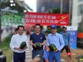 Nhiều doanh nghiệp và cá nhân tham gia hỗ trợ nông dân Gia Lai tiêu thụ 20 tấn dưa hấu trong chiều 11/2 (Ảnh: Hòa Bình) 