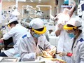 Sinh viên Khoa Răng Hàm Mặt - ĐH Y Dược TP.HCM làm việc tại khoa (Ảnh: Hòa Bình)