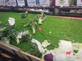 Cung không đủ cầu thực phẩm cho người dân TP.HCM đang thiếu trầm trọng - Ảnh: HB