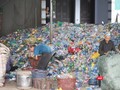 Rác thải nhựa đã trở thành vấn đề môi trường toàn cầu.