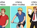Các mức độ stress và ảnh hưởng của chúng tới cơ thể con người