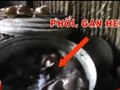 Video: Phù phép gan heo và hóa chất thành thịt bò khô