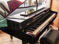 Video: Nữ nghệ sĩ ngực khủng chơi piano làm dân mạng phát sốt