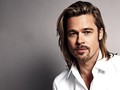 Xuất hiện loài tò vò Brad Pitt ở châu Phi