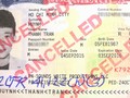 Visa loại P3 có hạn FED vào ngày 24/10/2015 được xem là nguyên nhân khiến Trấn Thành bị từ chối nhập cảnh.