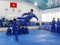Võ đường Vovinam được mở ngay giữa thủ đô nước Pháp hoa lệ (ảnh minh hoạ)
