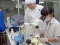 Các hoạt động thúc đẩy phát triển hệ sinh thái khởi nghiệp diễn ra rất sôi động.