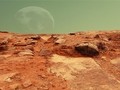 NASA đang nghiên cứu để tìm ra loại cây có thể trồng trên sao Hỏa. Ảnh: Public Domain.