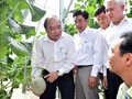 Thủ tướng thăm mô hình nông nghiệp công nghệ cao tại Bình Phước. Ảnh: VGP/Quang Hiếu
