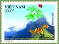 Mẫu tem Sâm Ngọc Linh