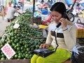 Từ 0h sáng ngày 17/6, mã vùng điện thoại cố định của 23 tỉnh thành, bao gồm cả Hà Nội và TP.HCM sẽ thay đổi.