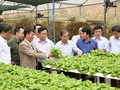 Phó Thủ tướng Vương Đình Huệ thăm khu nhà sản xuất rau bó xôi công nghệ cao có thời gian từ ươm giống tới thu hoạch chỉ trong 15 ngày của HTX Tân Tiến, Lâm Đồng. Ảnh: VGP/Thành Chung