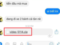 Chính vì tập tin được gửi đến từ một người bạn nên hầu hết người dùng đều thiếu cảnh giác, nhanh chóng tải về và mở ra xem tập tin này. Ảnh chụp màn hình.