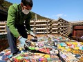 Bảo vệ môi trường luôn là vấn đề nhức nhối, đáng quan tâm trong cộng đồng. Tại Việt Nam, hàng loạt phong trào giảm rác thải nhựa, bảo vệ bờ biển, trồng cây xanh… đã ra đời.