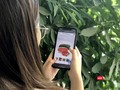 Các nông sản mùa vụ được đưa lên sàn thương mại điện tử.