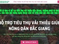 Cổng thông tin hỗ trợ tiêu thụ vải thiều do hiệp hội Doanh nghiệp tỉnh Bắc Giang xây dựng.