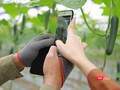 Chương trình “Tên miền quốc gia “.vn” đồng hành, hỗ trợ cho cá nhân, doanh nghiệp trên địa bàn tỉnh Đồng Tháp chuyển đổi mô hình kinh doanh trực tuyến hiệu quả, hiện diện tin cậy trên mạng Internet”.
