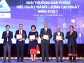 Các doanh nghiệp đạt giải thưởng Sản phẩm hiệu suất năng lượng cao nhất năm 2021.